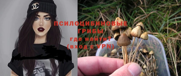 синтетический гашиш Арсеньев