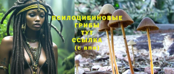 круглые Армянск