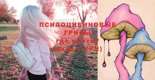 круглые Армянск