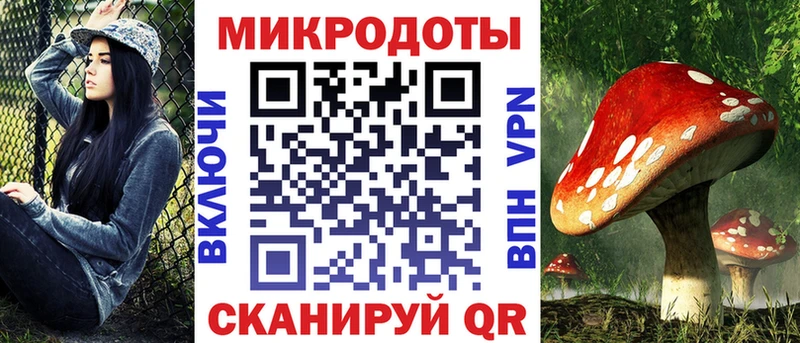 Псилоцибиновые грибы Psilocybine cubensis где можно купить Елабуга